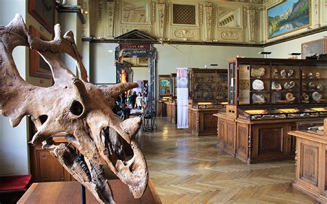 viyana doğa tarihi müzesi